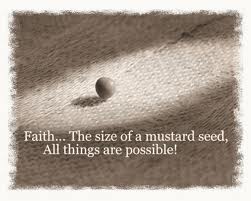  - mustard-seed
