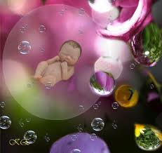 baby in a bubble